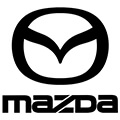 активация всех марок машин для Golo Easydiag+