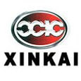 Xinkai на русском языке для Golo Easydiag+